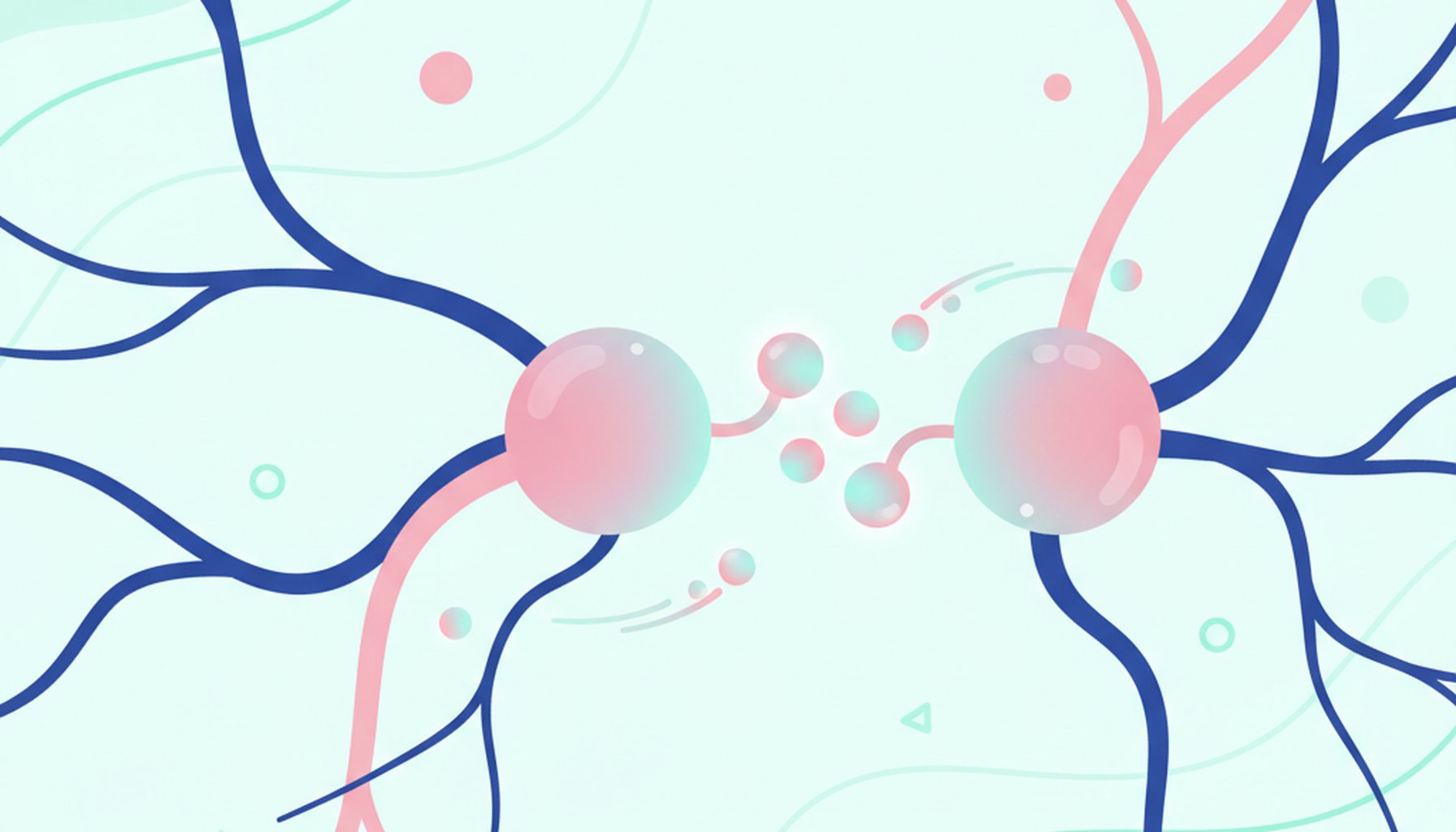 Acetilcolina: Metabolismo, Receptores e Importancia Clinica