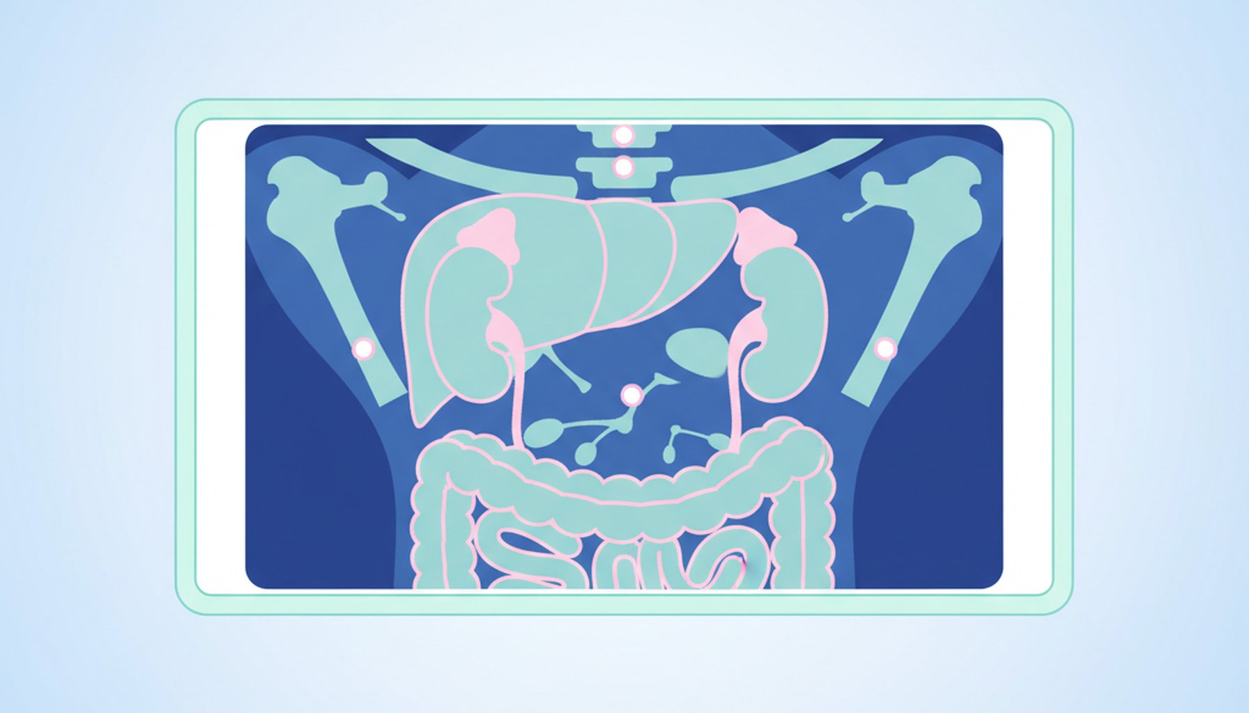 Anatomia do Raio-X de Abdome: Guia de Interpretacao