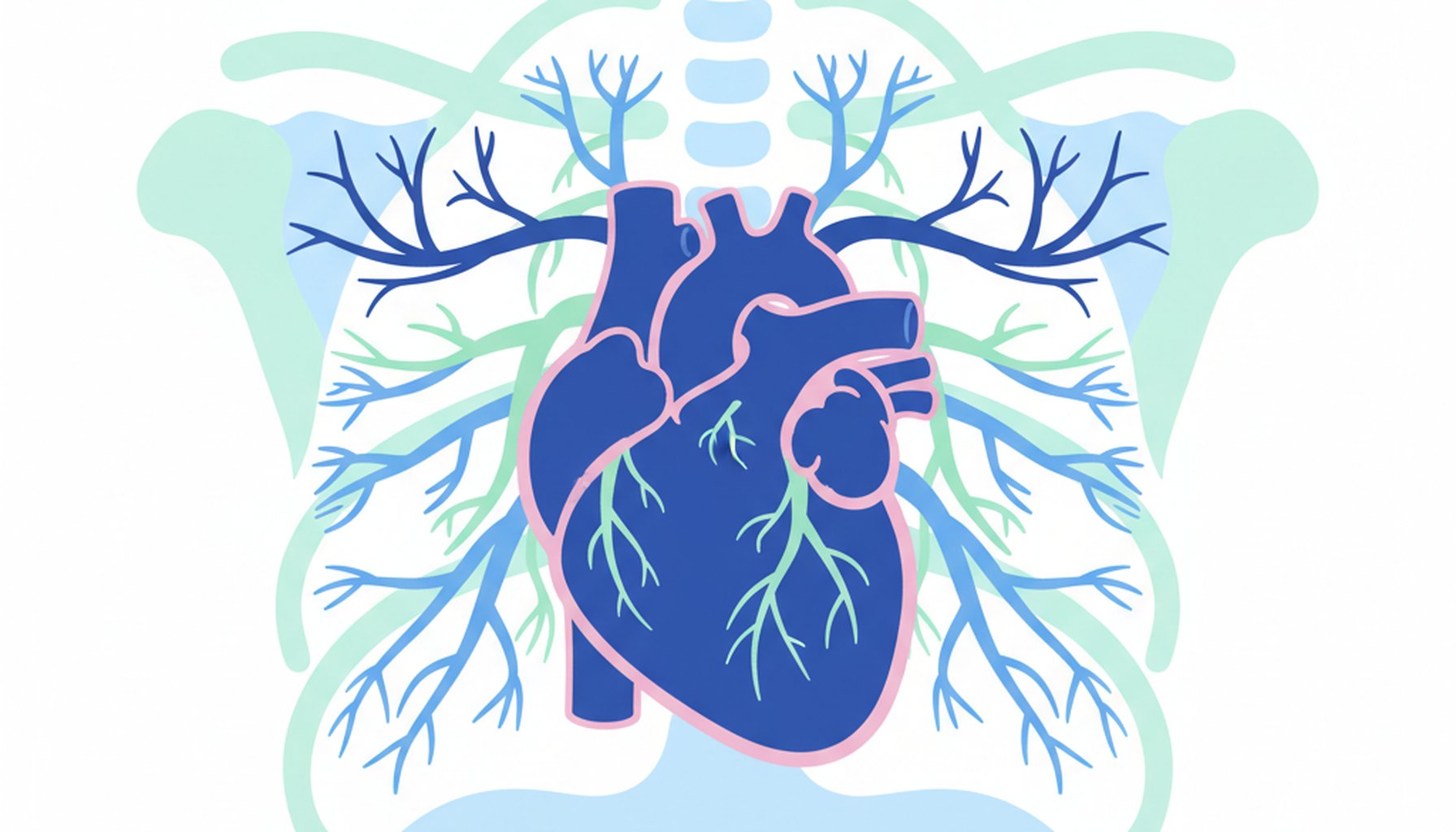 Comunicacao Interatrial na Radiografia de Torax: Guia Completo