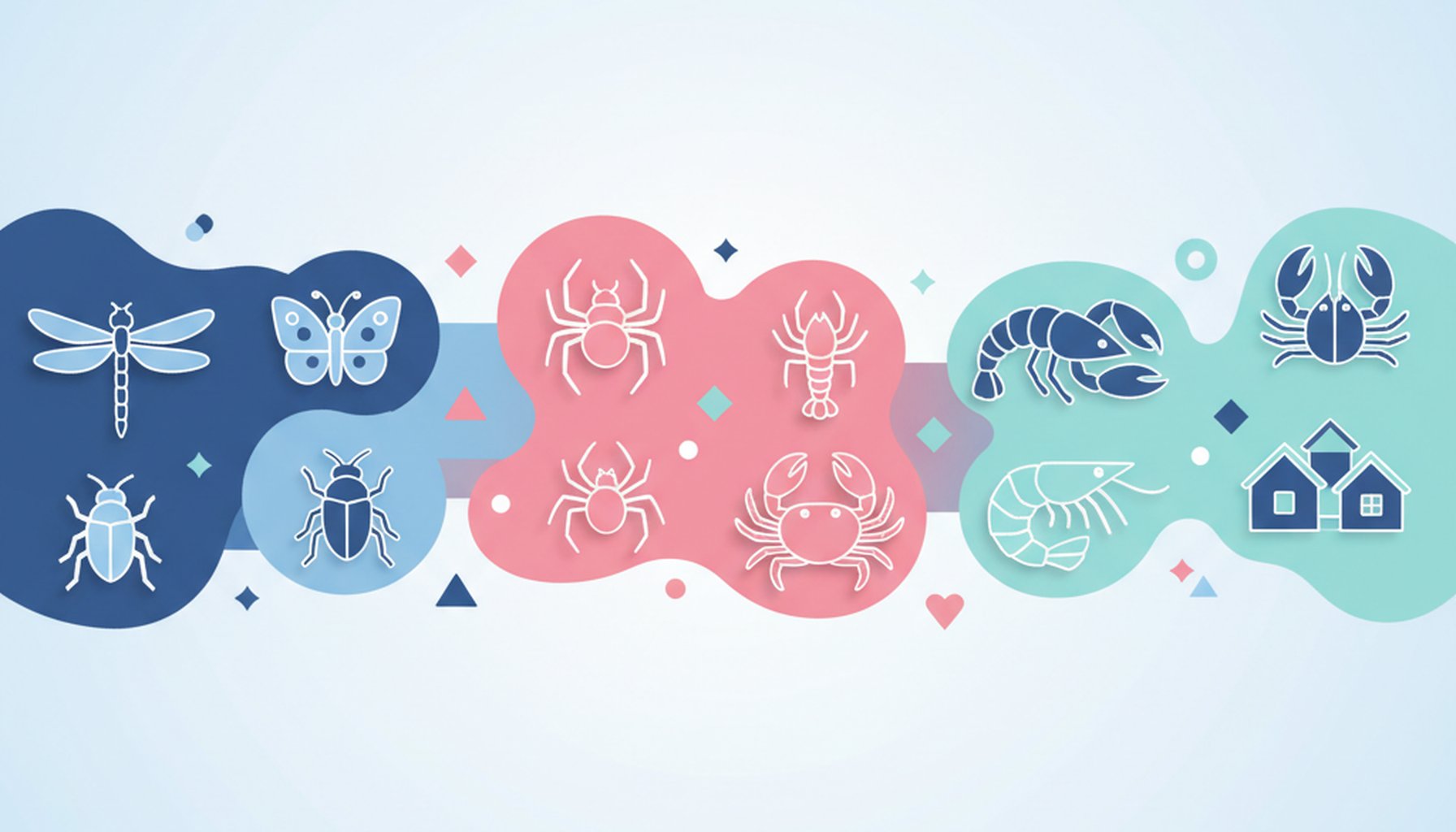 Filo Arthropoda: Divisão, Classificação e Relevância Médica