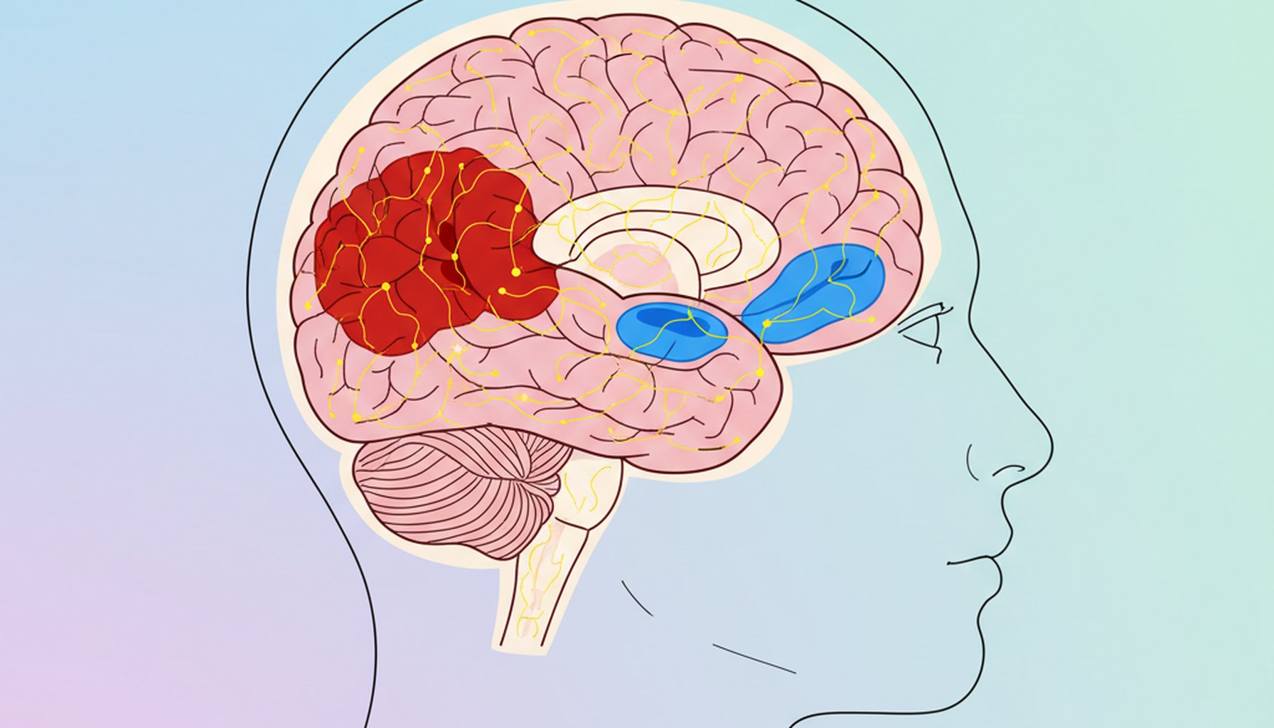 Lesões Intracranianas Traumáticas na TC e RM: Guia Completo
