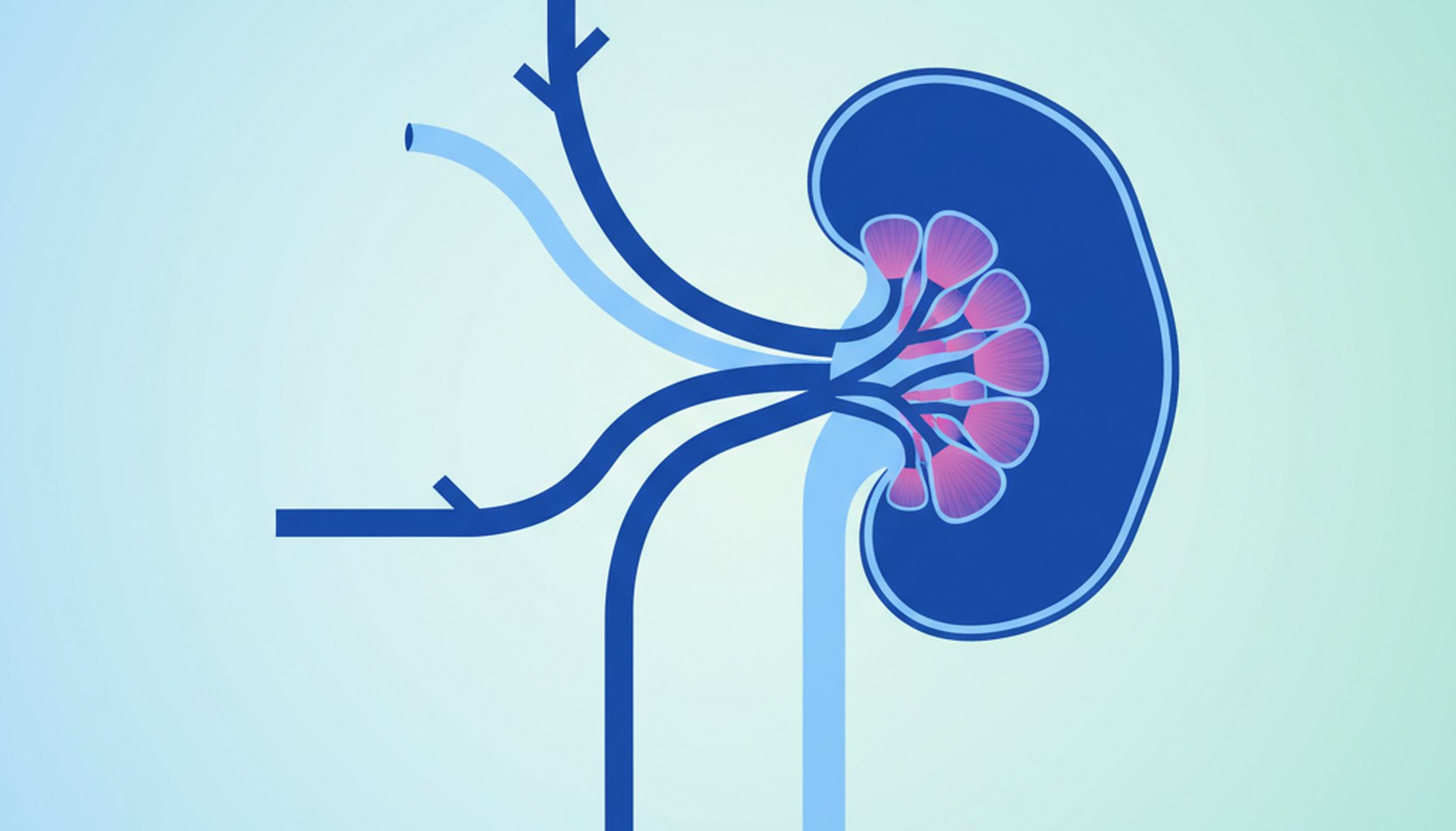Necrose Tubular Aguda (NTA): Guia Completo para Provas