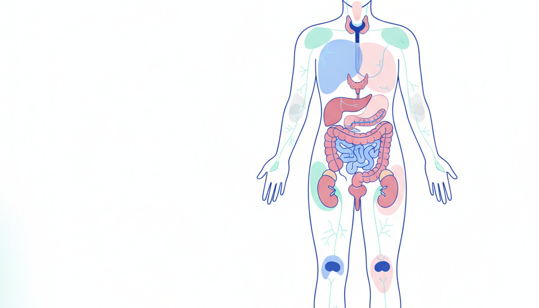 Residência em Endocrinologia e Metabologia: Guia 2027