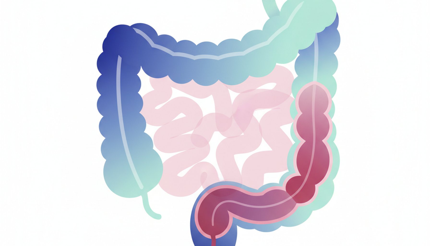 Retocolite Ulcerativa: Sintomas, Diagnóstico e Tratamento