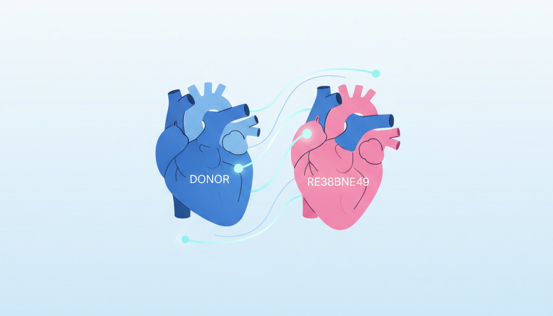 Transplante Cardiaco nas Provas de Residencia Medica